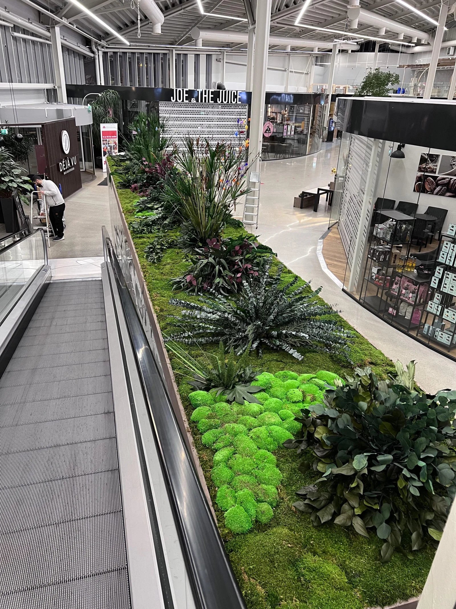 En stilren, golvstående växtvägg av underhållsfri konserverad mossa och växter på köpcentret Kvadrat i Stavanger, Norge.