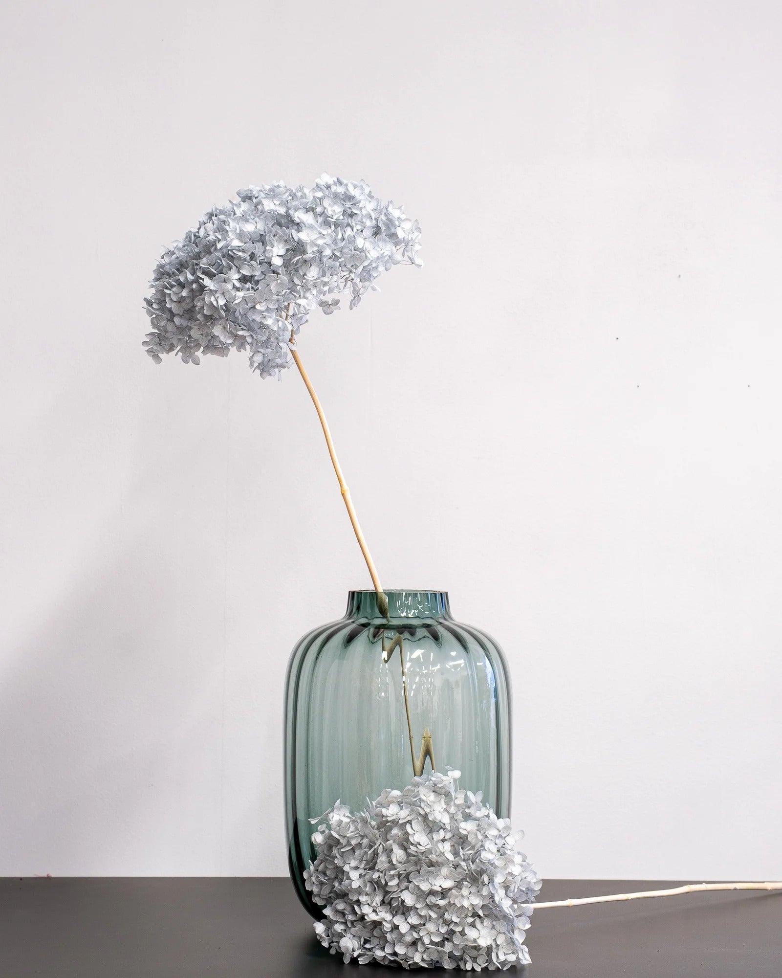 Konserverad blomma med detaljer från Hortensia Lång 60 cm