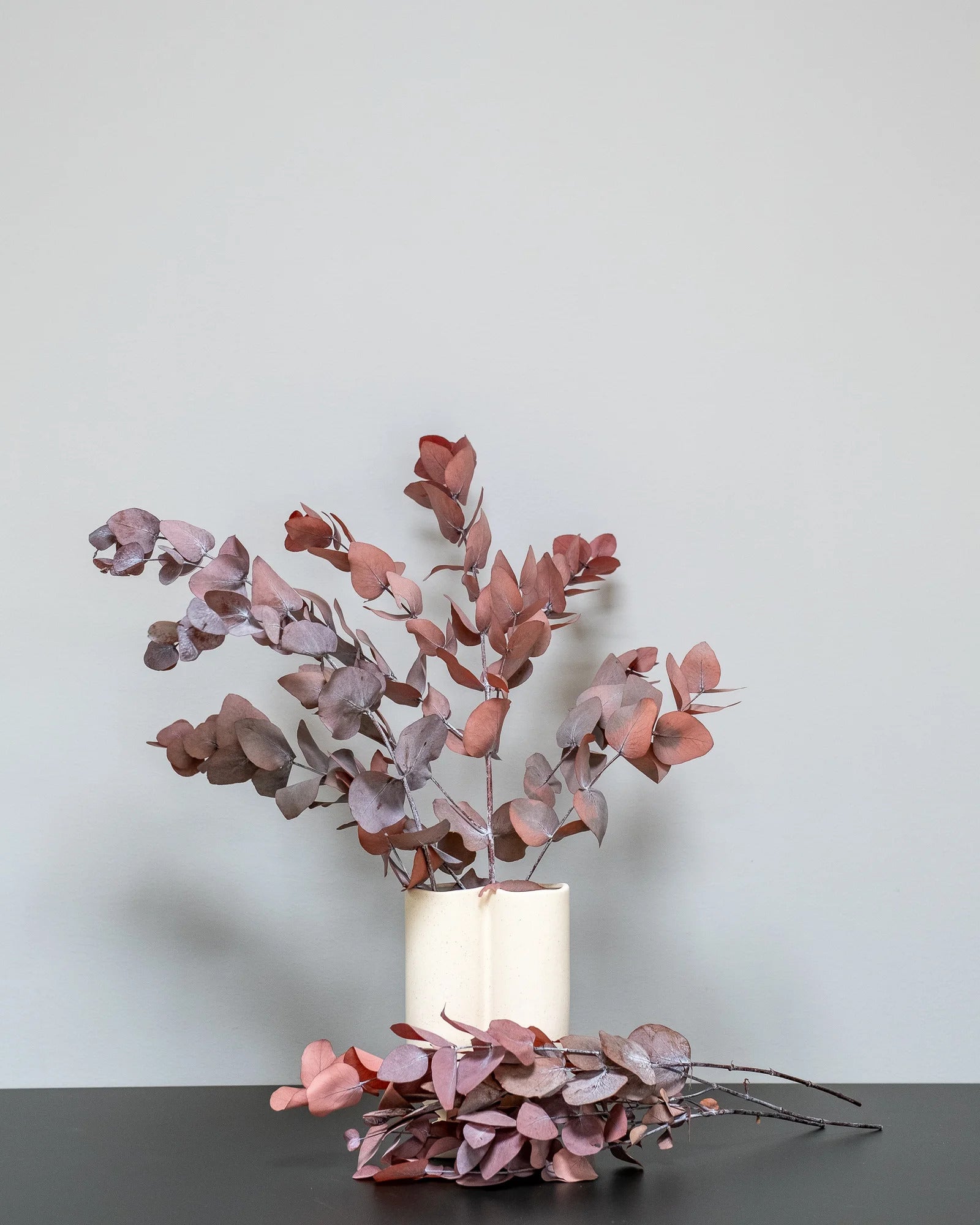 Eucalyptus Cinerea – konserverad växt från Forever Flora i grön