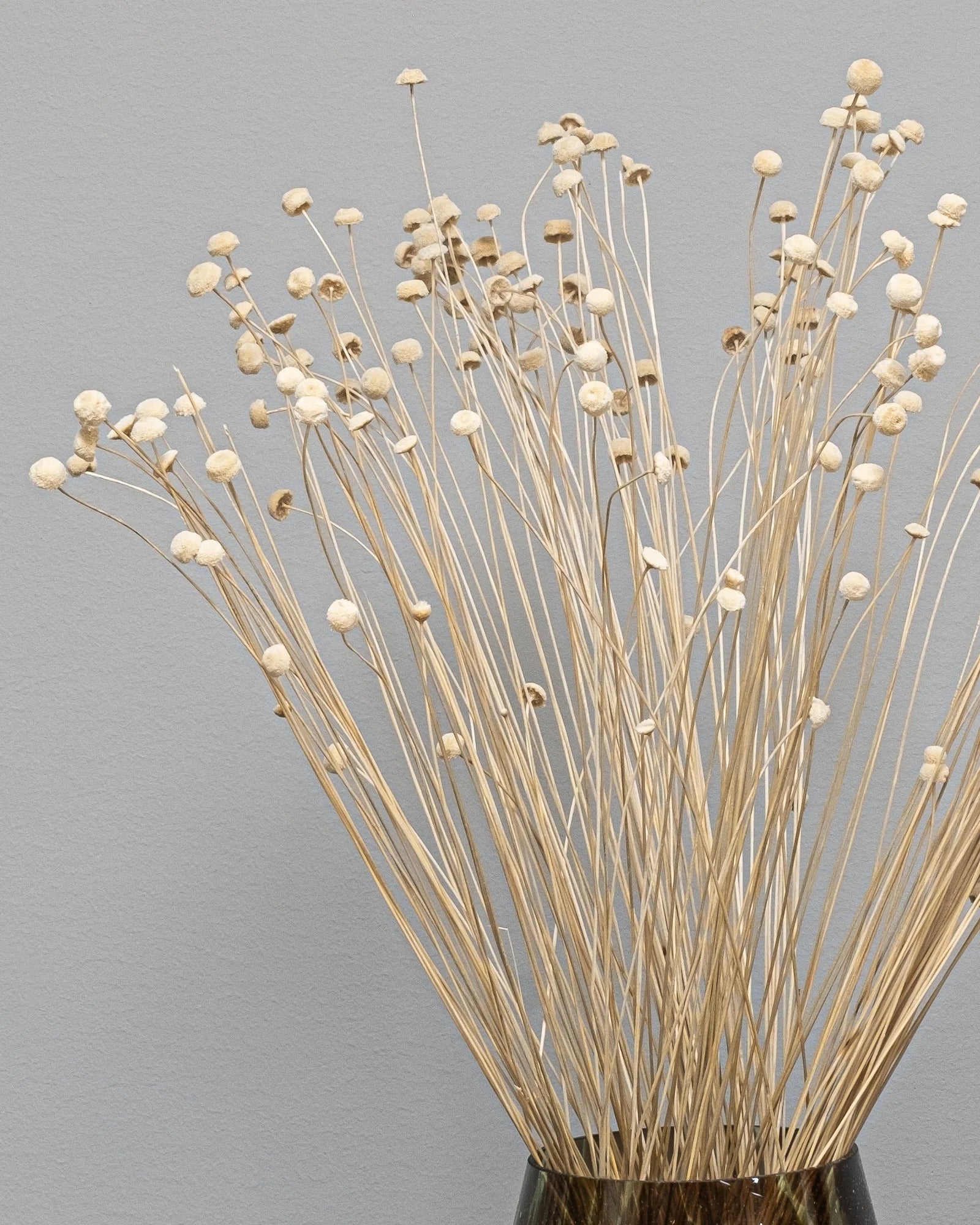 Botao för buketter och blomsterarrangemang