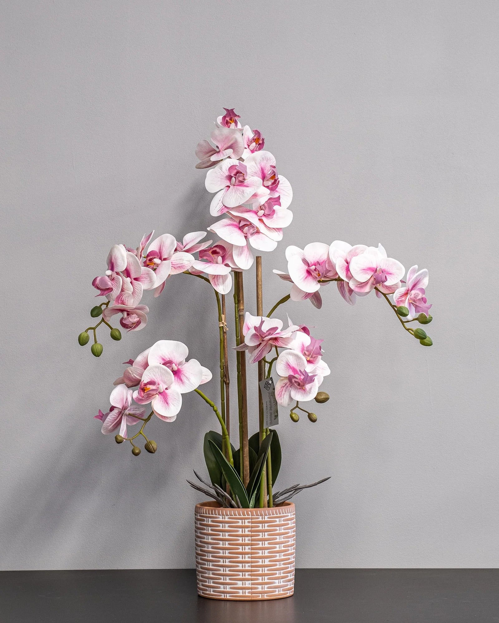Konstgjord orkidé med rosa blommor – 40 × 60 cm – konstgjord blomma från Forever Flora