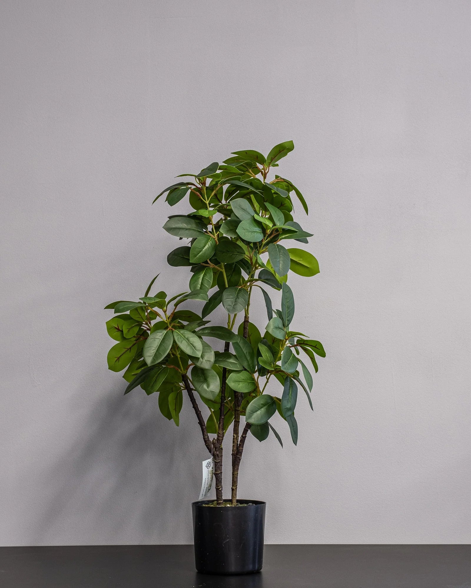 Konstgjord Ficus krukväxt i melaminkruka – 70 cm – konstgjord växt från Forever Flora