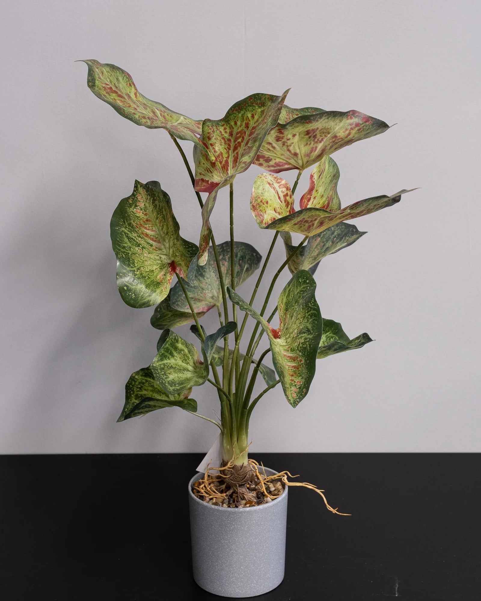 Konstgjord Caladium krukväxt – 60 cm för dekorativ styling i inomhusmiljö