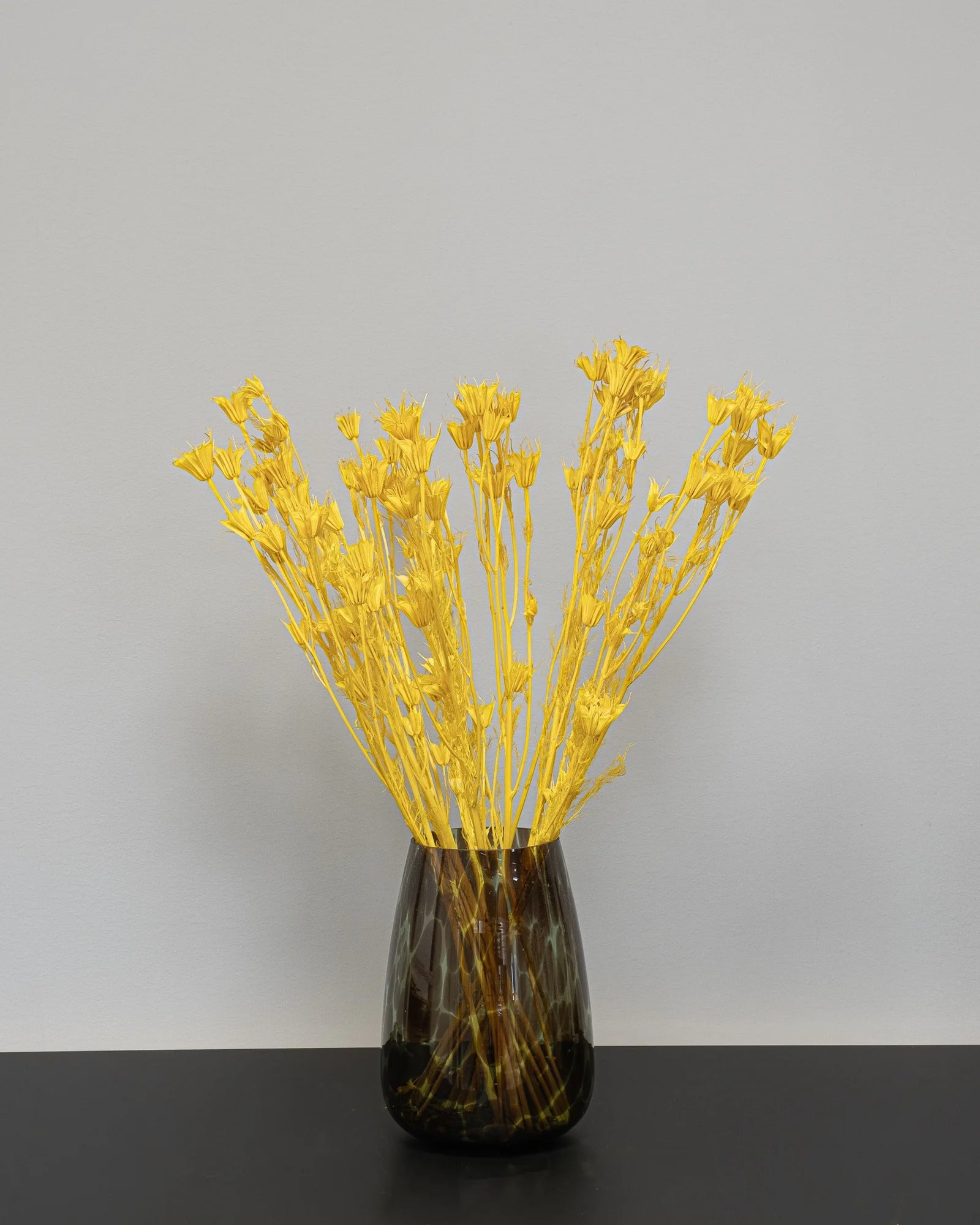 Nigella Orientalis för buketter och blomsterarrangemang – 1607 nigella 4