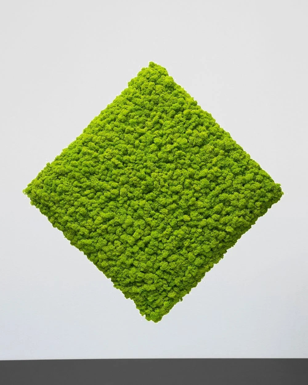 Färgvariant Gul av Mosspanel kvadrat i äkta renlav – 30×30 cm