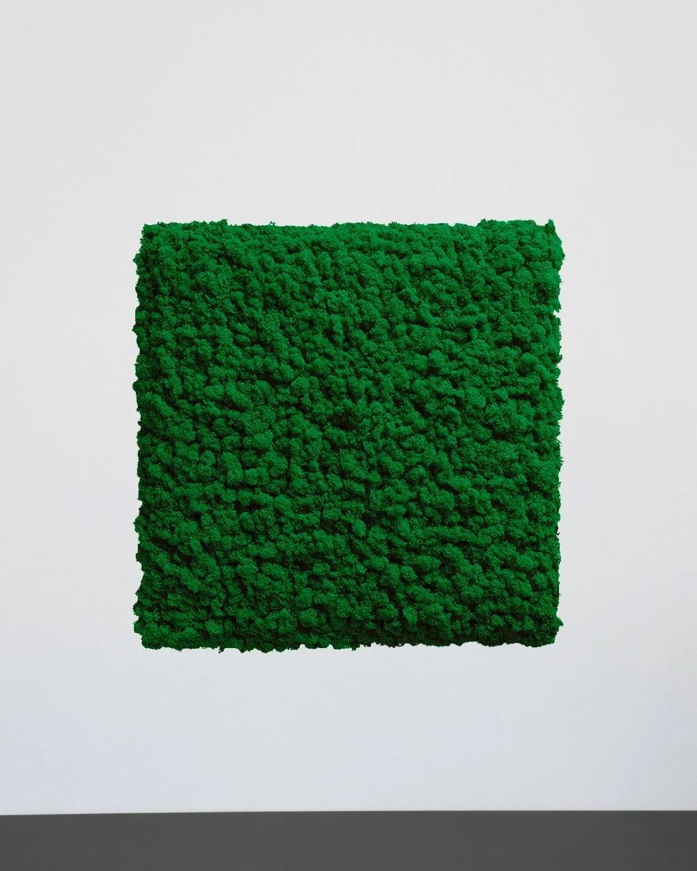 Mosspanel kvadrat i äkta renlav som dekorativ panel i inomhusmiljö – Naturell, 30 × 30 cm