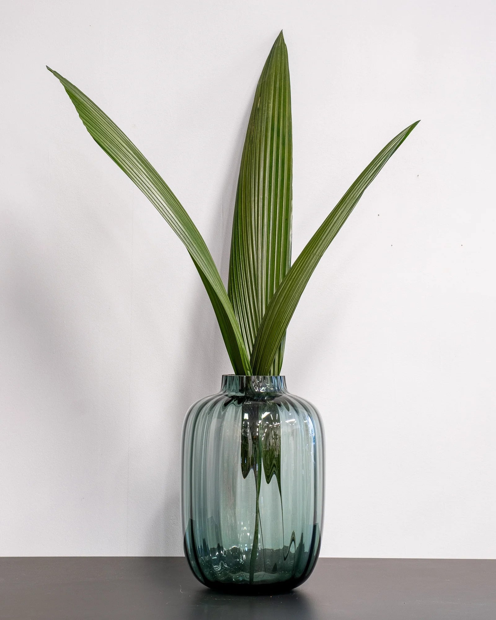 Palmgräs Grön 3 st. – konserverad växt från Forever Flora