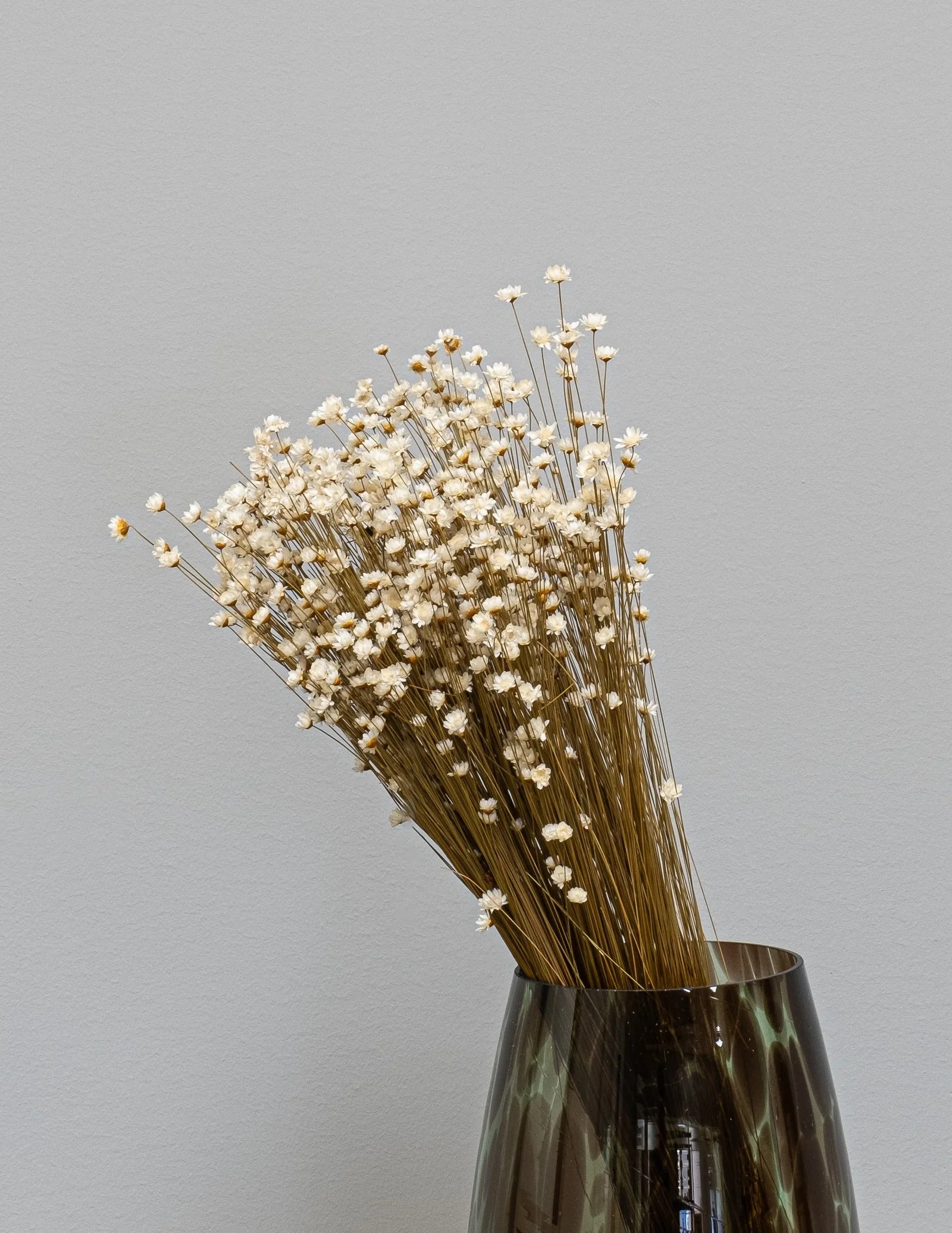 Glixia – torkade blommor i Naturell