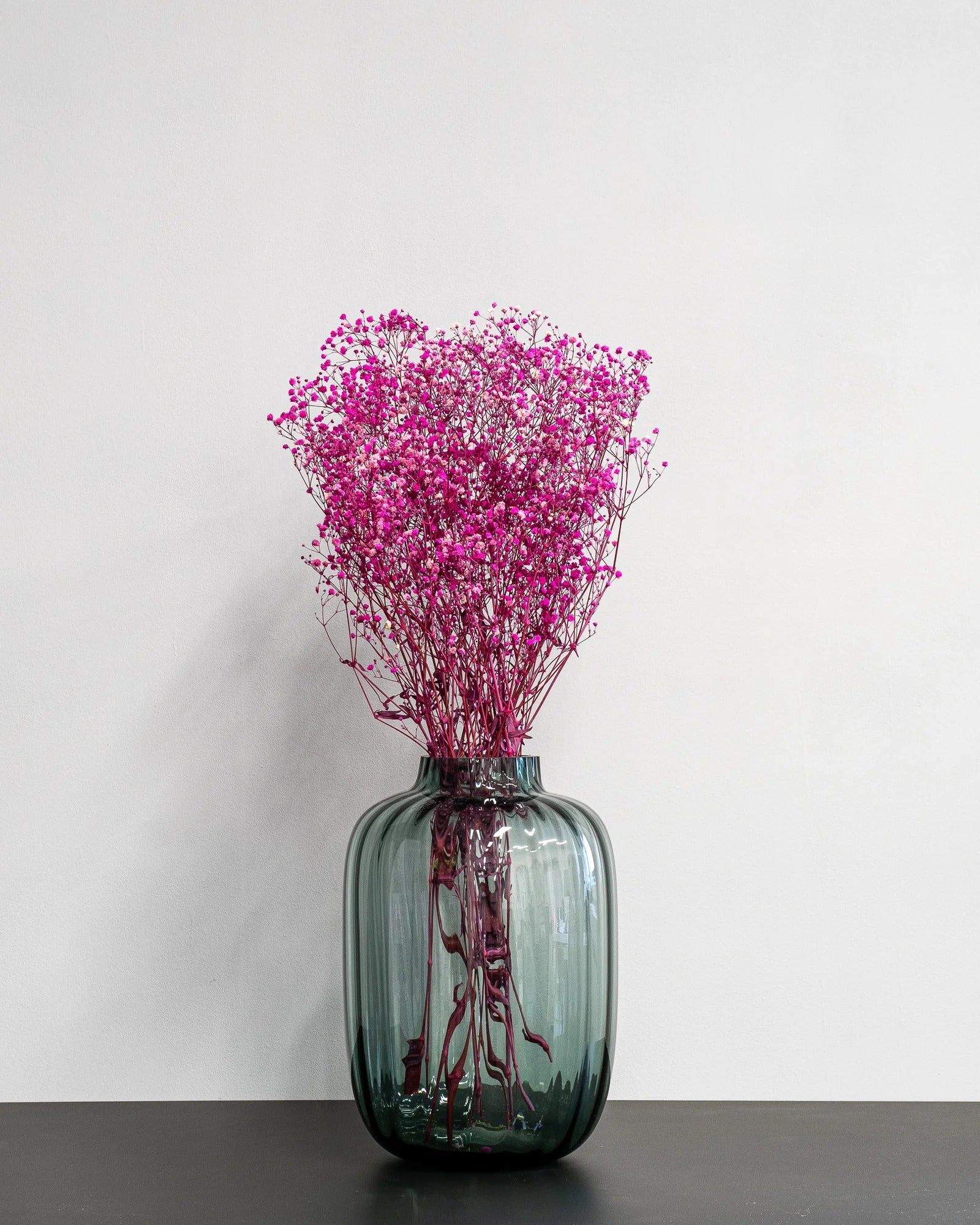 Detaljbild av Slöjblommor – Gypsophila som konserverad blomma