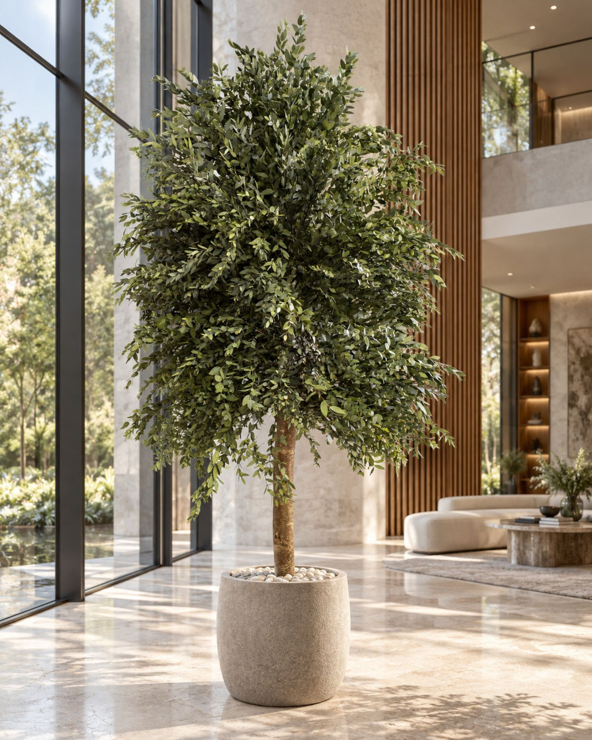 Konserverat eukalyptusträd Parvifolia – Slim