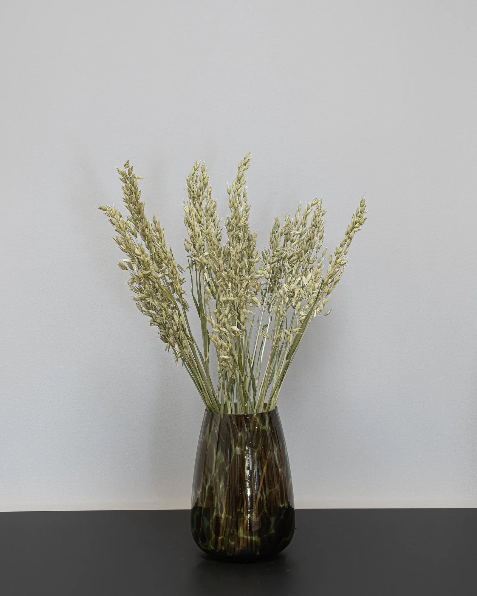 Havre Avena – torkade blommor 50–60 cm i Vit