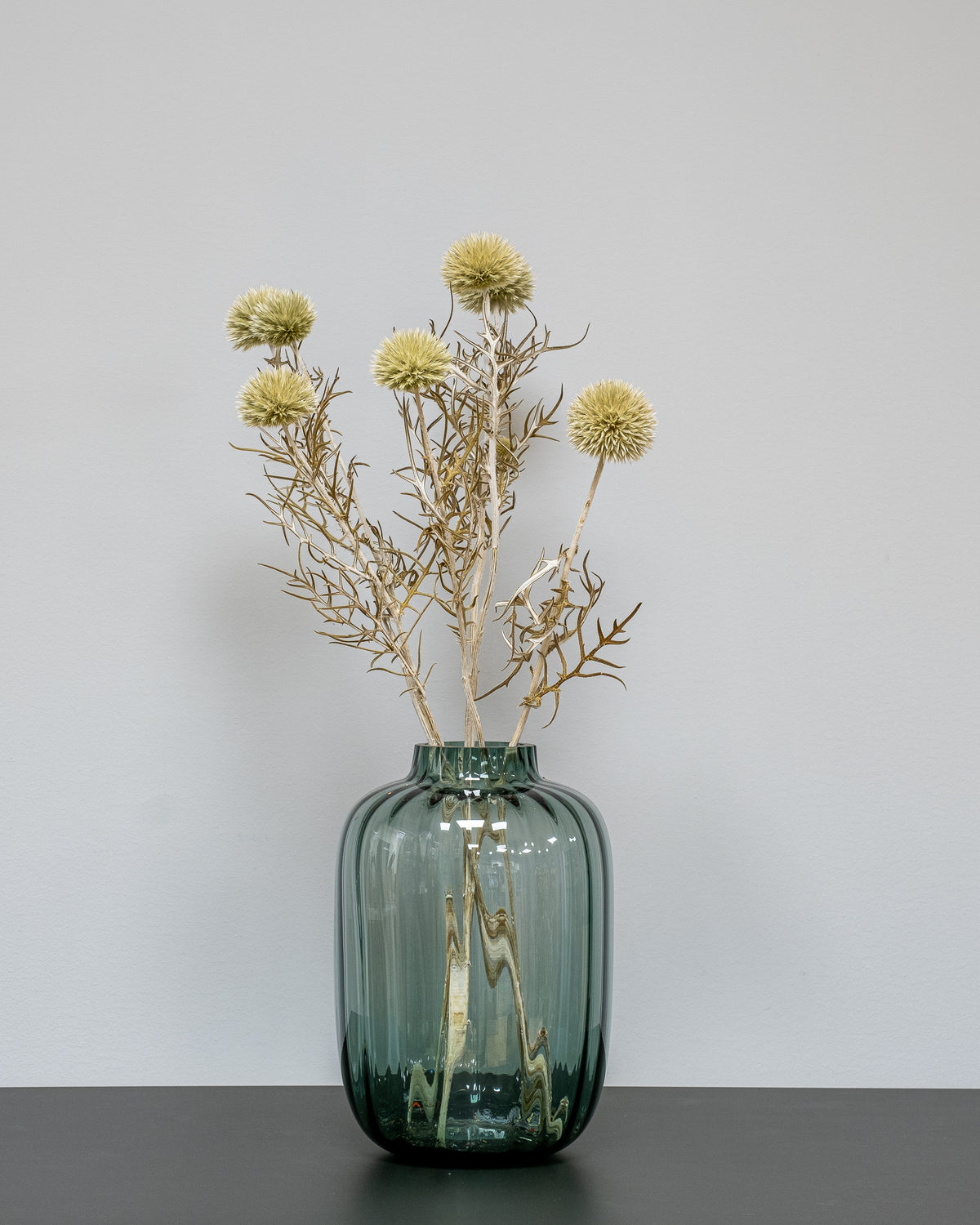Bolltistel Gigant – konserverade blommor