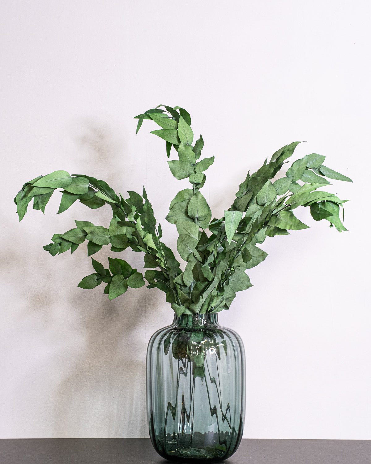 Ivy – Preserved Plant