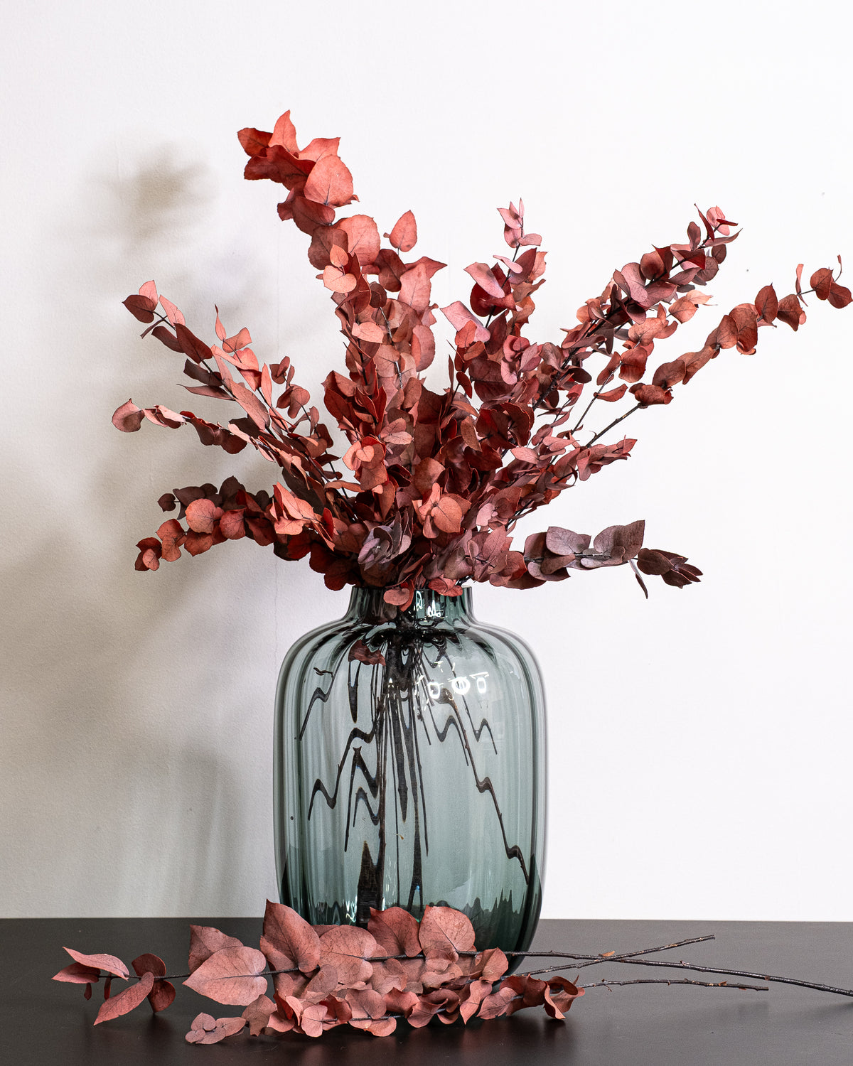 Eucalyptus Stuartiana – konserverad växt