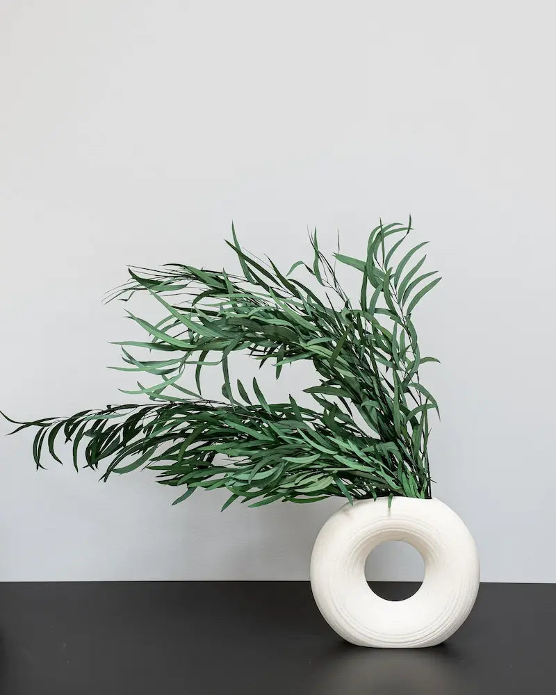 Eucalyptus