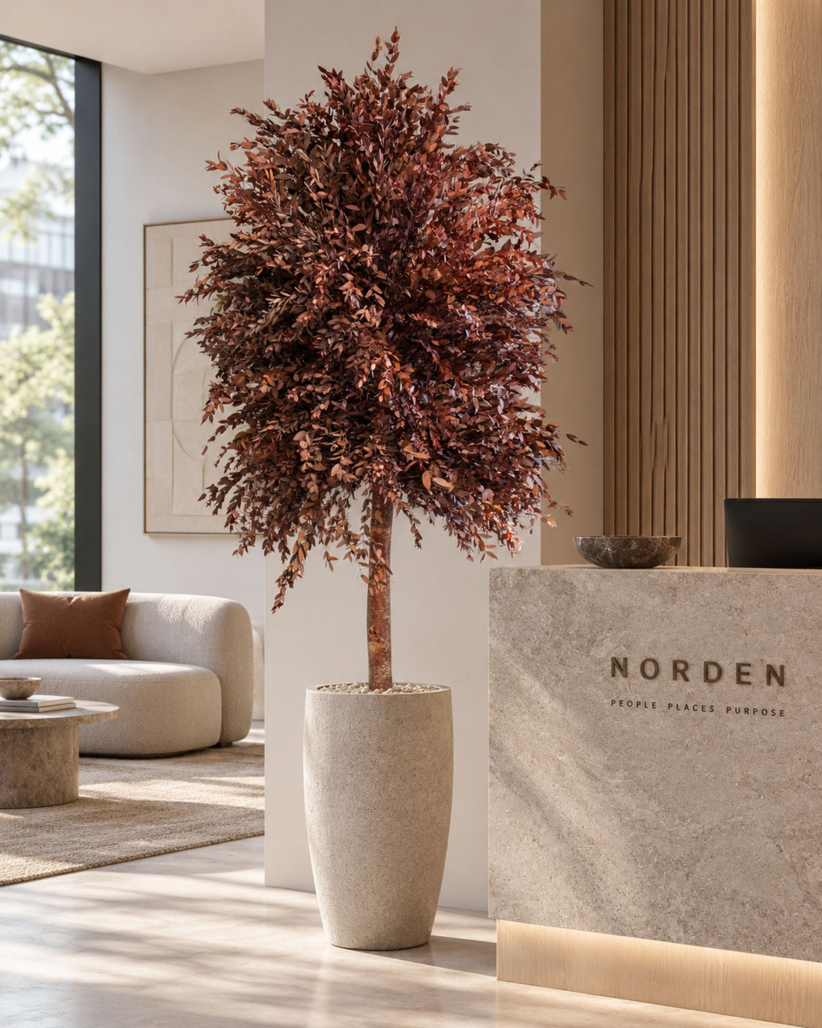 Konserverat eukalyptusträd Parvifolia – Slim