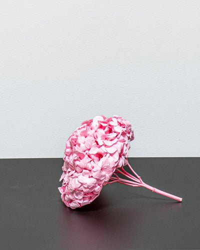 Premium Hortensia som inslag i bevarade blomsterarrangemang