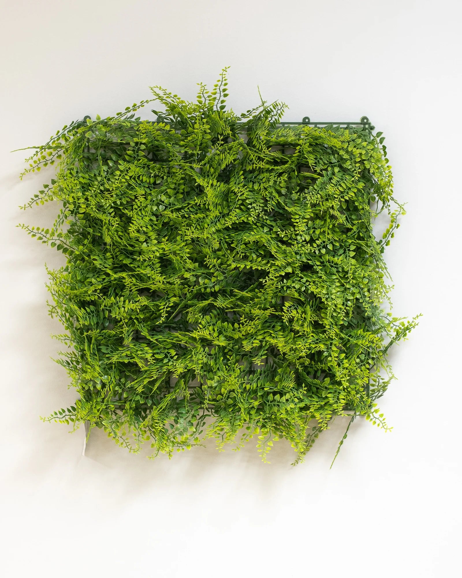 Konstgjord växtvägg Ormbunke – 50 × 50 cm UV – konstgjord växtvägg från Forever Flora