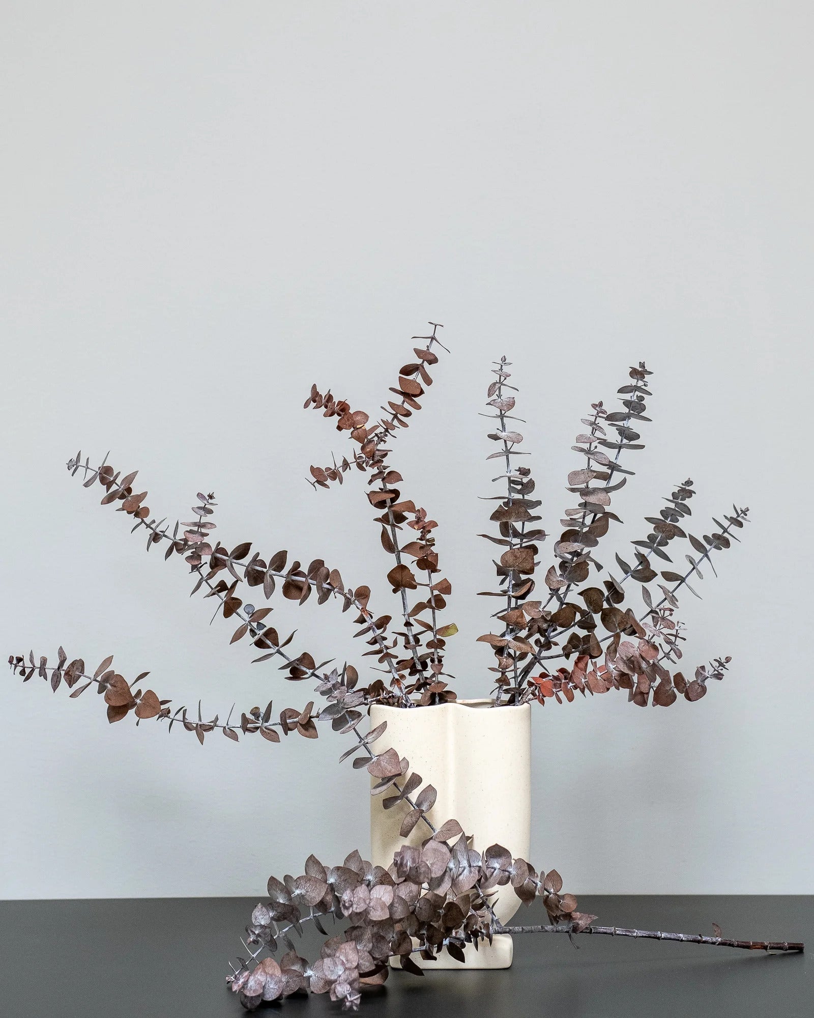 Eucalyptus Baby Blue som dekorativ produkt från Forever Flora
