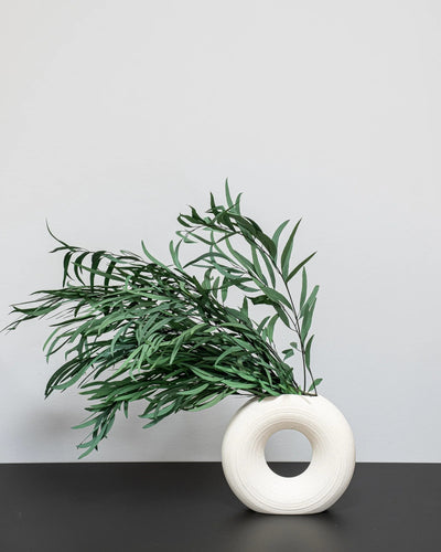 Eucalyptus Nicoli för långvarig grön inredning