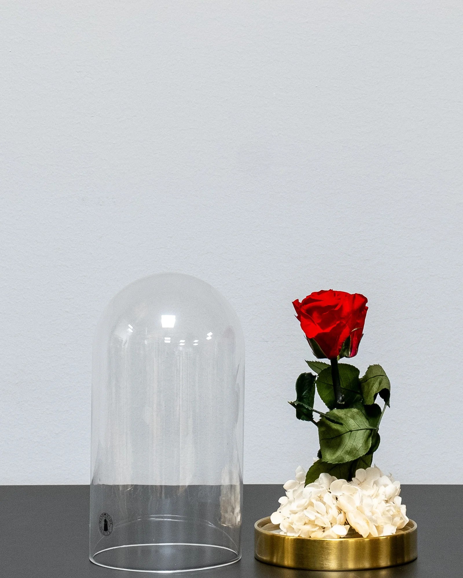 Närbild på konserverade rosor i Roskupa med Evighetsrosor och Hortensia i rosa