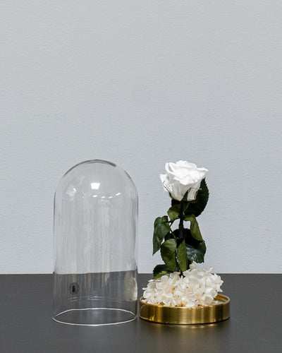 Konserverade rosor i Roskupa med Evighetsrosor och Hortensia från Forever Flora