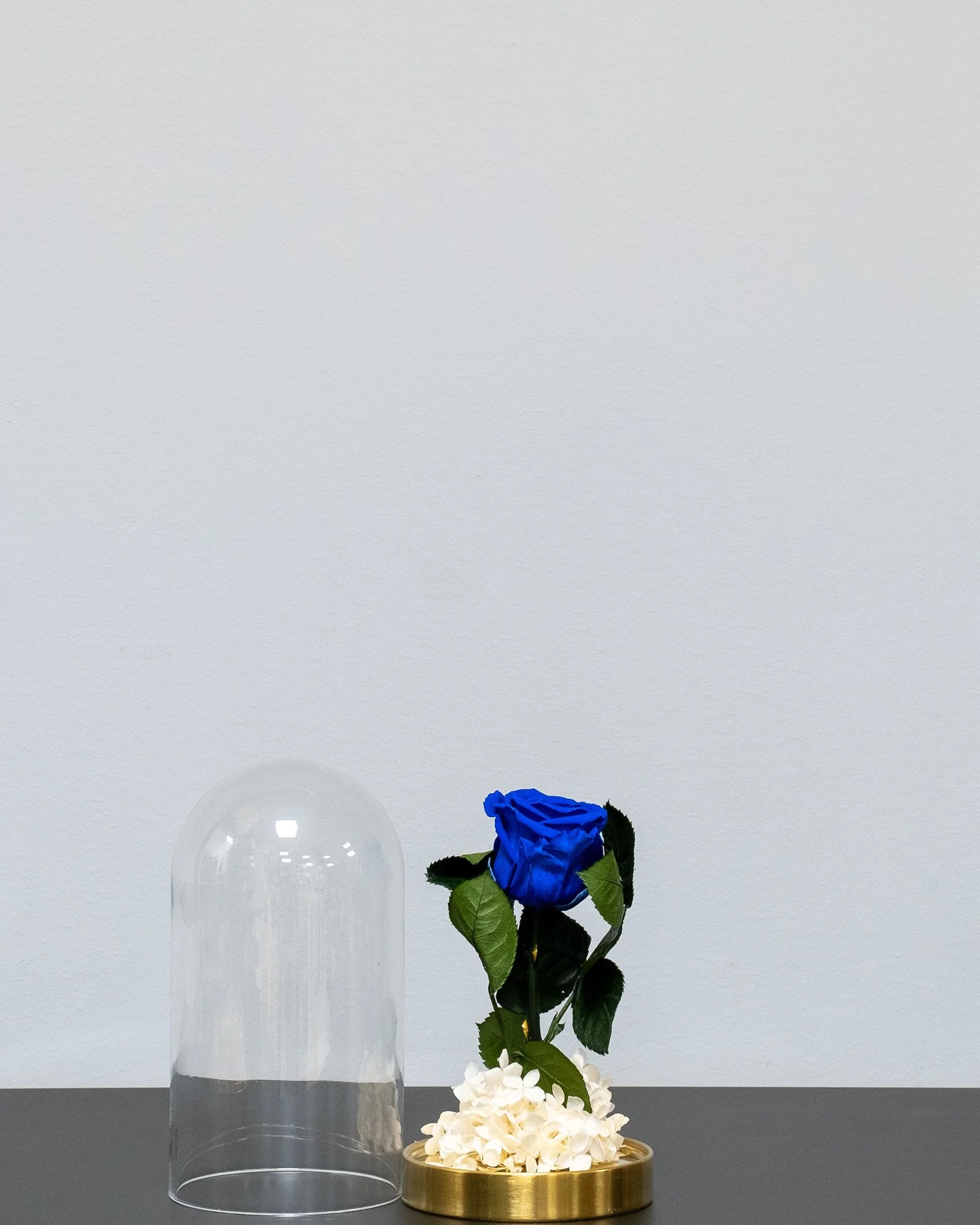 Detaljer i rosorna på Roskupa med Evighetsrosor och Hortensia