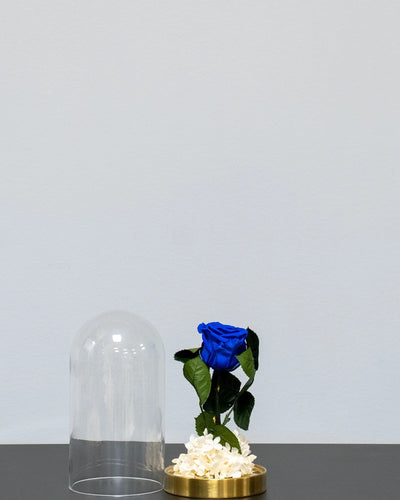 Detaljer i rosorna på Roskupa med Evighetsrosor och Hortensia