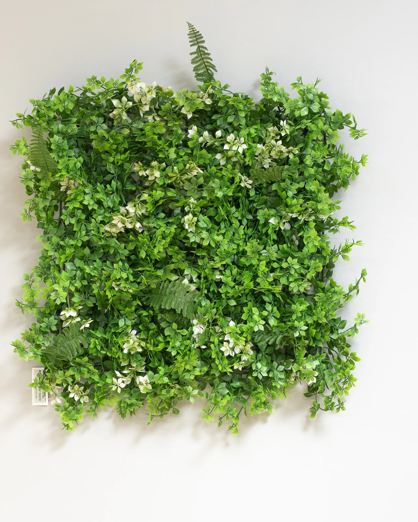 Konstgjord växtvägg Växtblomm – 50 × 50 cm UV – konstgjord växtvägg från Forever Flora