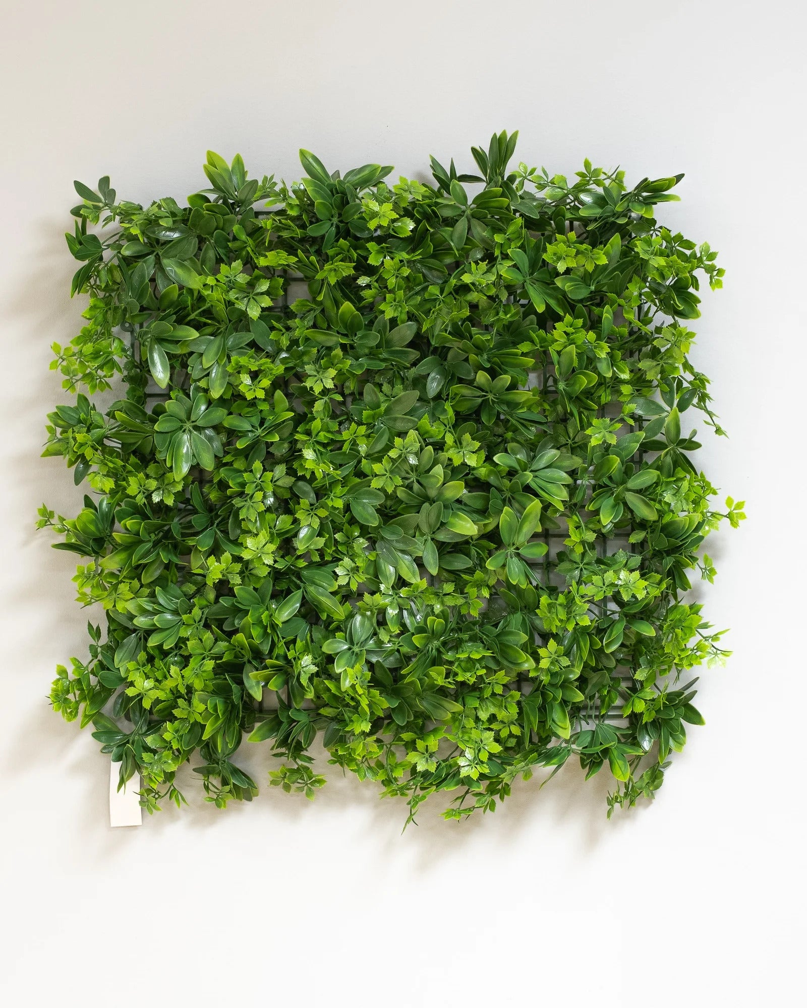 Konstgjord växtvägg Mixväxt – 50 × 50 cm UV – konstgjord växtvägg från Forever Flora