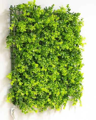 Konstgjord växtvägg Eukalyptus – 50 × 50 cm UV som dekorativ produkt för hem och inredning