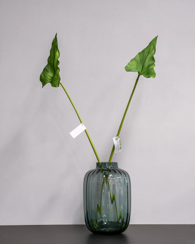 Närbild på detaljerna i Konstgjort Alocasia cucullata blad – 75 cm