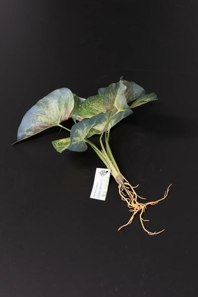 Närbild på detaljerna i Konstgjord Caladium bladslinga – 30 cm