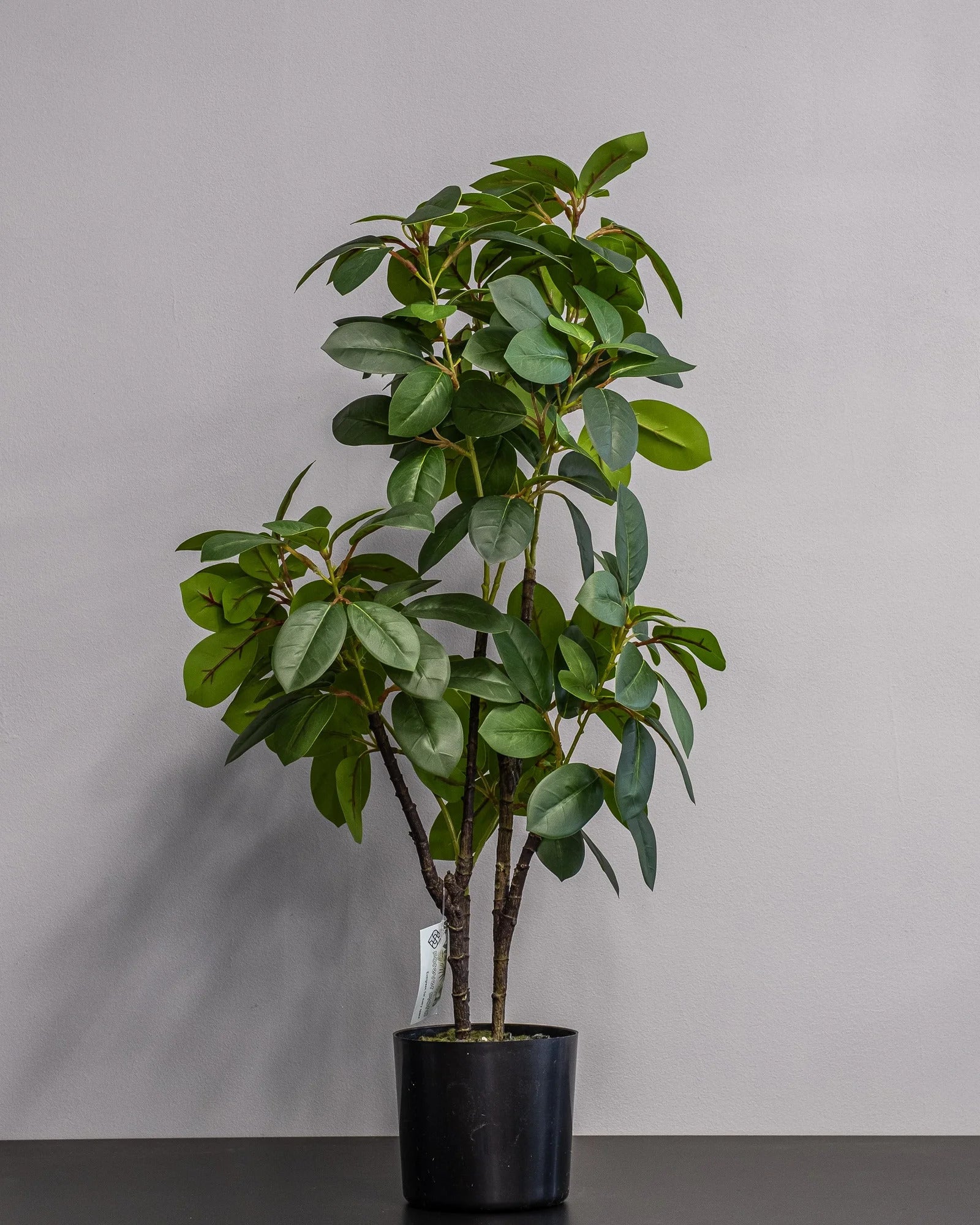Konstgjord Ficus krukväxt i melaminkruka – 70 cm som dekorativ produkt för hem och inredning
