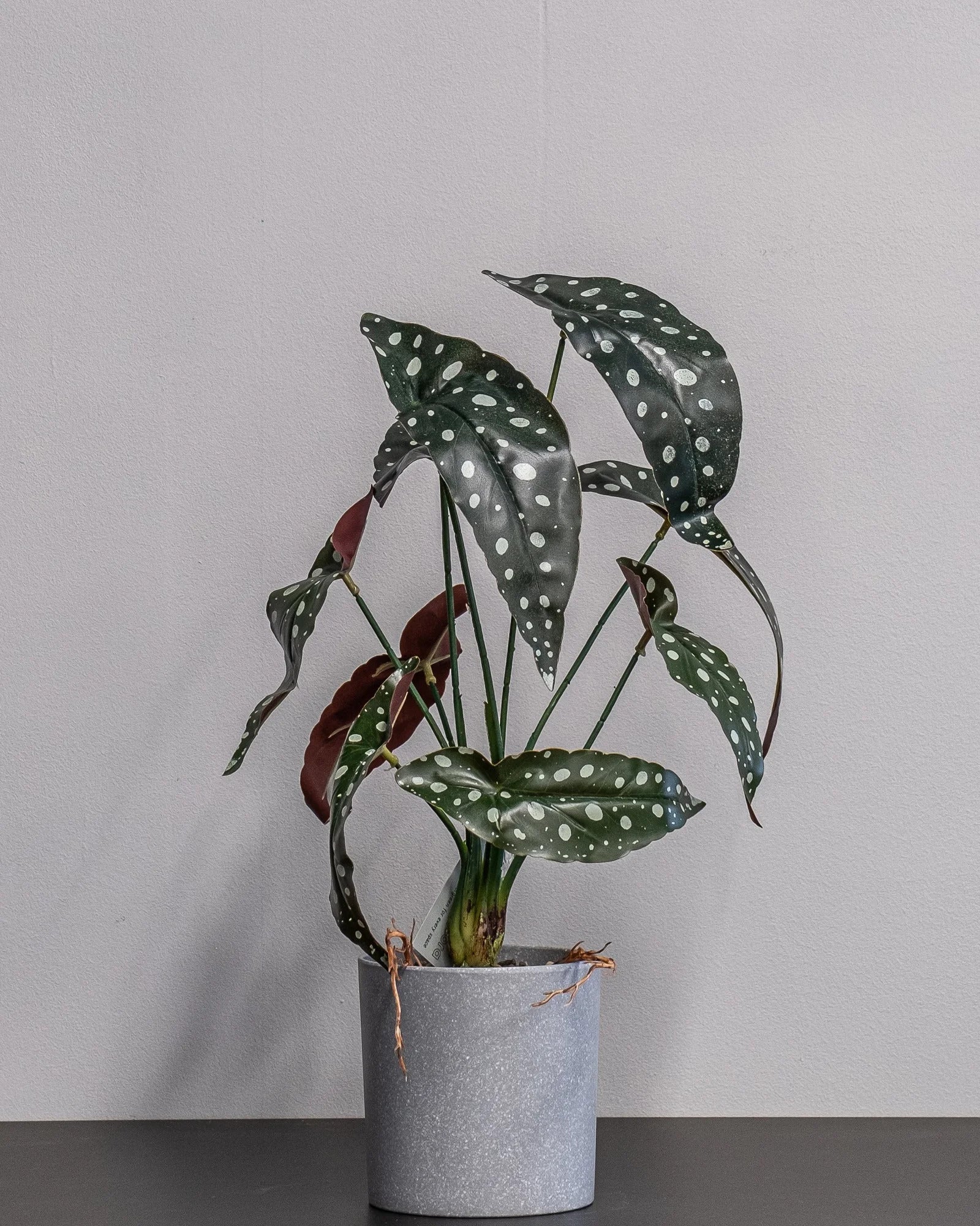 Konstgjord Begonia krukväxt – 45 cm som dekorativ produkt för hem och inredning