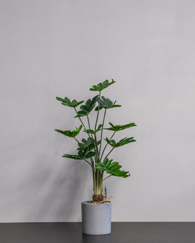 Konstgjord Philodendron krukväxt – 60 cm – konstgjord växt från Forever Flora