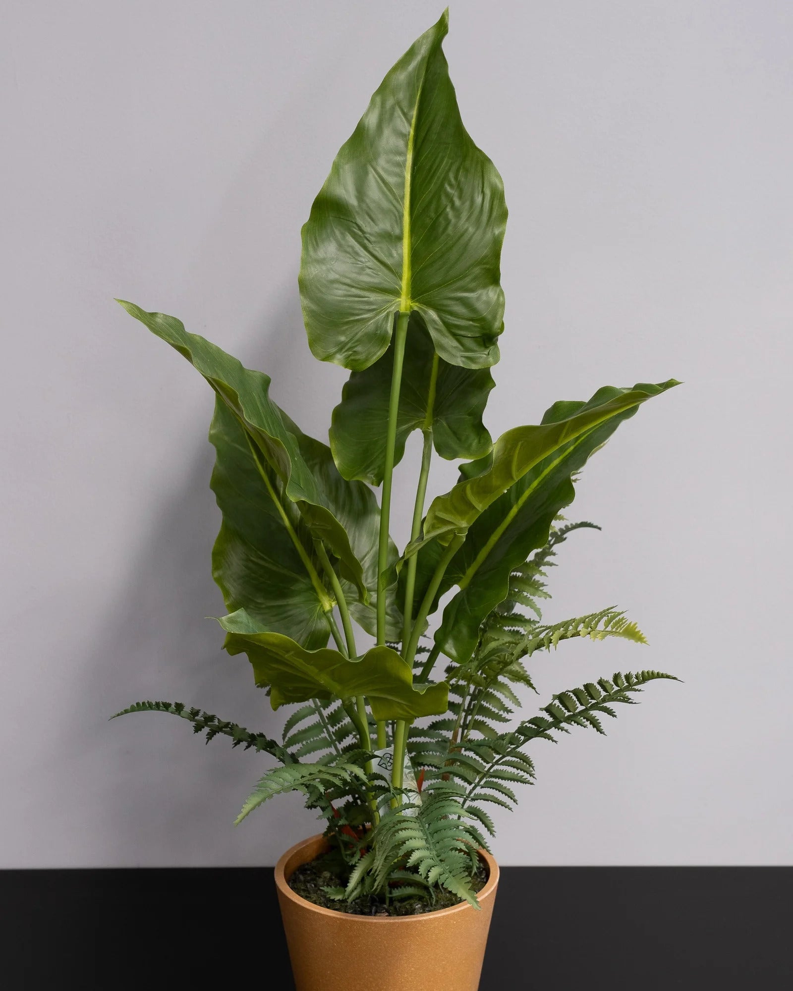 Alocasia som konstgjord växtdetalj för inomhusmiljö