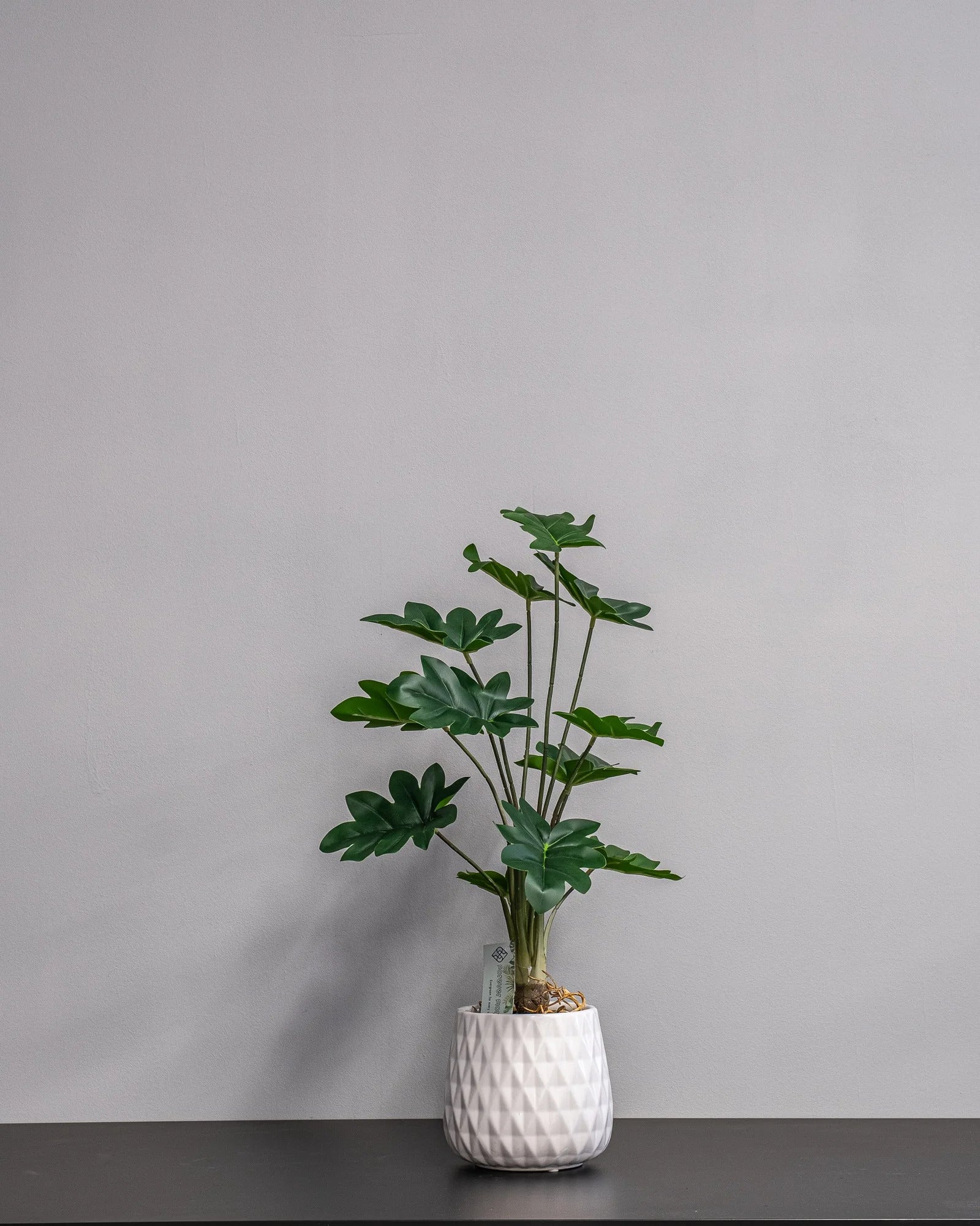 Konstgjord Philodendron krukväxt med keramikkruka – 60 cm – konstgjord växt från Forever Flora