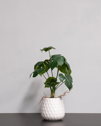 Närbild på detaljerna i Konstgjord Monstera krukväxt med keramikkruka – 45 cm