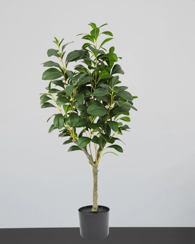 Konstgjort Ficus träd med plastkruka som dekorativ produkt för hem och inredning