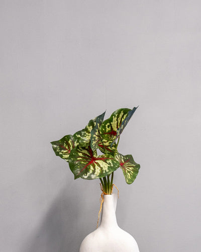 Konstgjord Caladium Thai bladslinga – 30 cm som dekorativ produkt för hem och inredning
