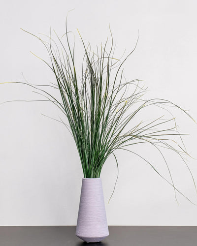 Björnlilja (Bear Grass) som grön dekoration för hem och inredning