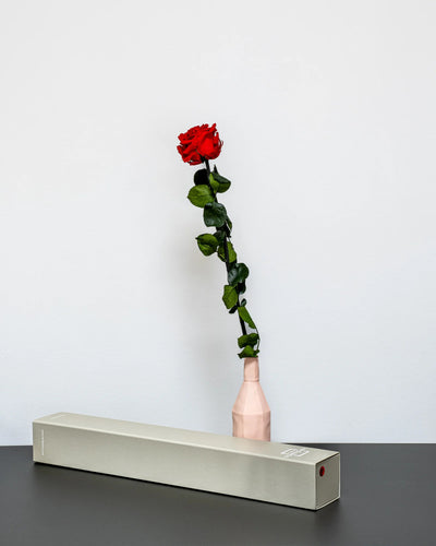 Detaljbild av Singel Evighetsros 60 cm i vit