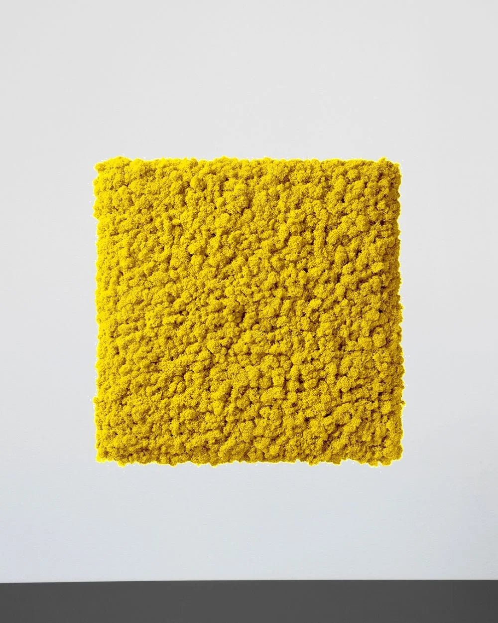 Mosspanel kvadrat i äkta renlav för grön väggdesign – Svart, 30×30 cm