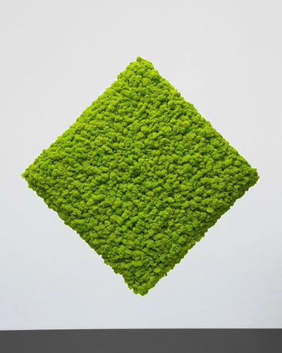 Färgvariant Gul av Mosspanel kvadrat i äkta renlav – 30 × 30 cm