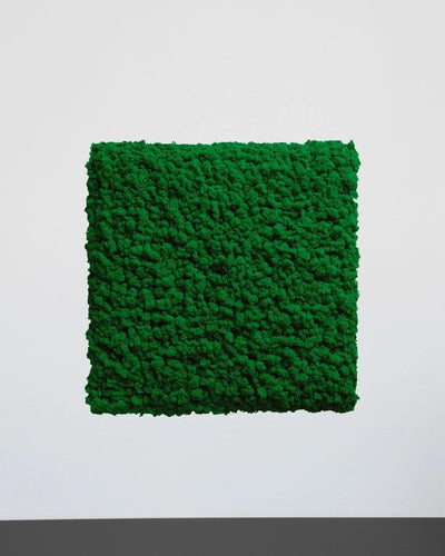 Mosspanel kvadrat i äkta renlav som dekorativ panel i inomhusmiljö – Naturell, 30 × 30 cm