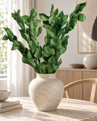 Ruscus Gigant – konserverad växt