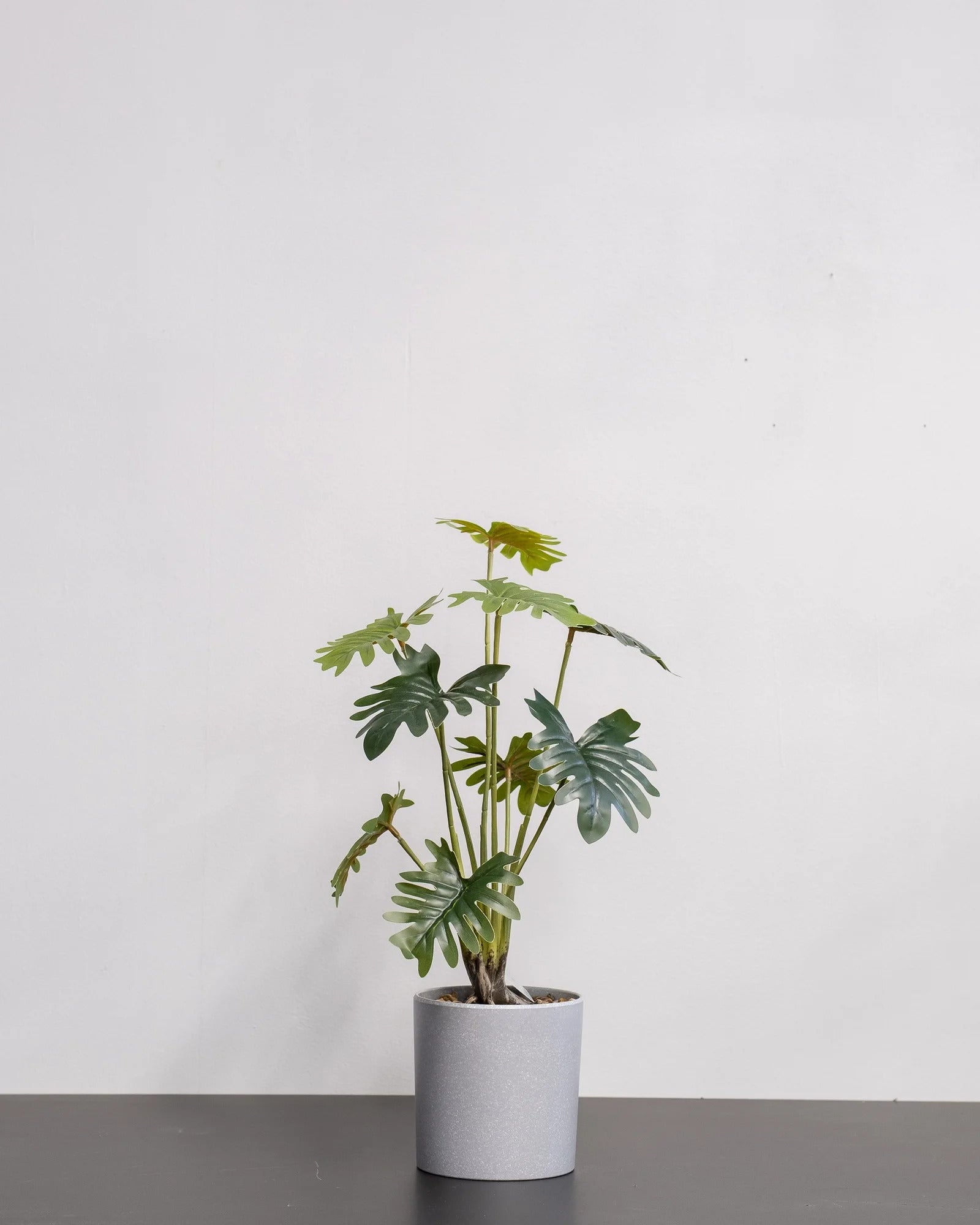 Konstgjord Filodendron krukväxt med melaminkruka – 52 cm – konstgjord växt från Forever Flora