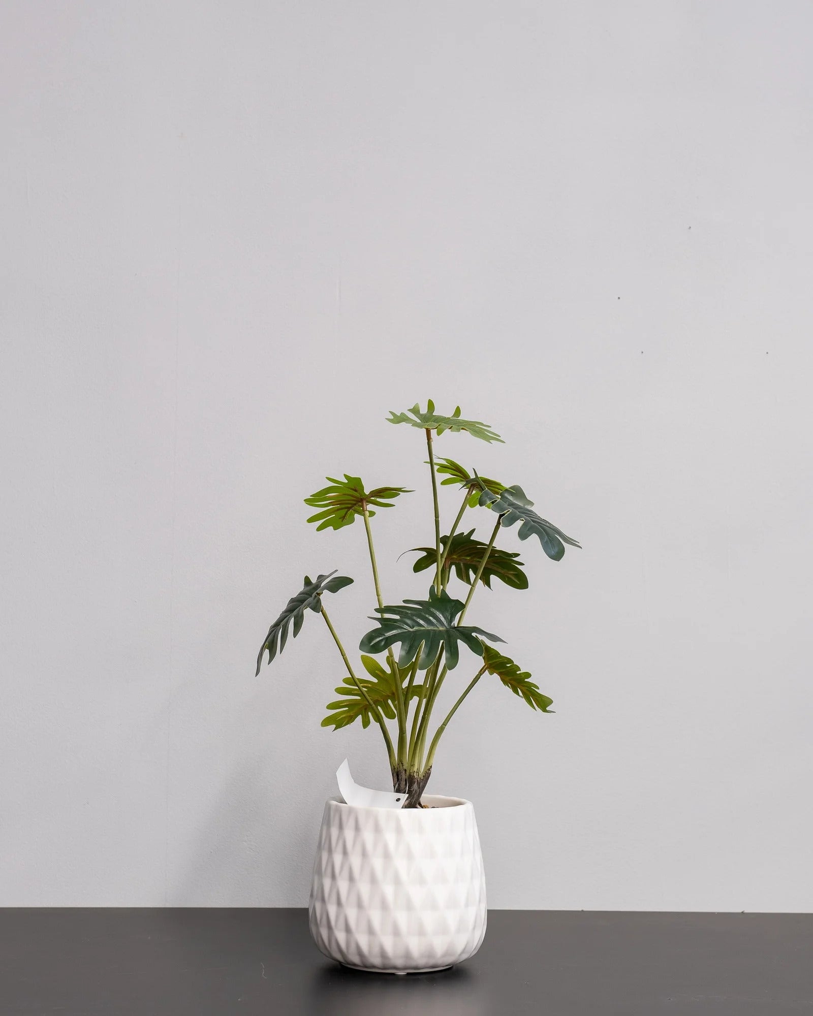 Närbild på detaljerna i Konstgjord Filodendron krukväxt med keramikkruka – 53 cm