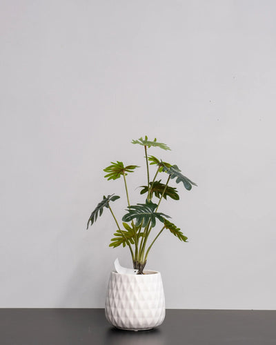 Närbild på detaljerna i Konstgjord Filodendron krukväxt med keramikkruka – 53 cm